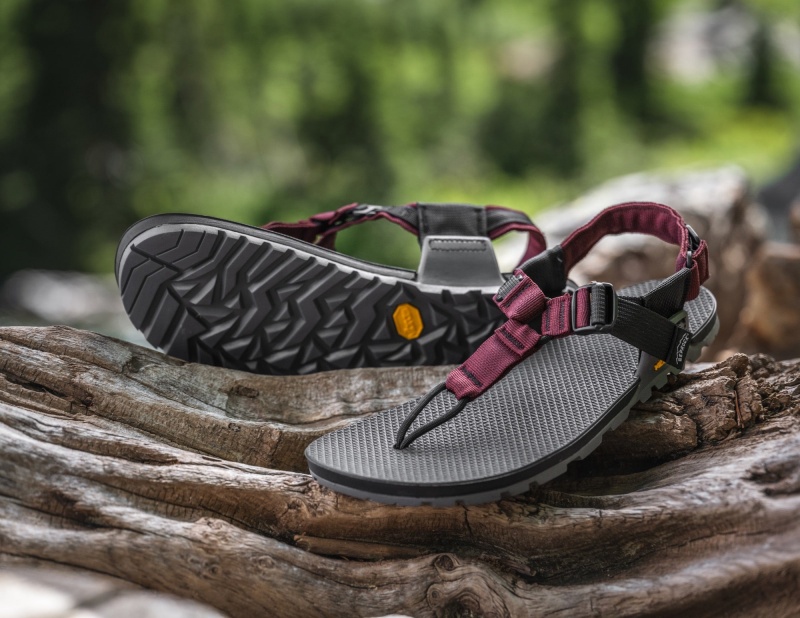 Sandale Bedrock Cairn PRO II Adventure Bordeaux Femme | LSD-76492965